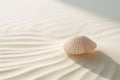 Beach sea holiday shell travel nature tropical ocean sand summer vacation seashell coast Royalty Free Stock Photo