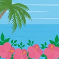 Beach sea palm image landscape