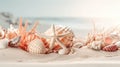 Beach sea themed banner or header with beautiful shells, corals and starfish on pure white sand - summer concept. Generative AI Royalty Free Stock Photo