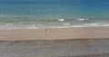 Beach and Sea with waves rolling in and a single figure.