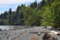 Beach at Seal Bay Nature Park, Comox Valley Royalty Free Stock Photo