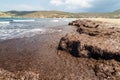 Beach section with brown algae off the Prasonisi peninsula on Rhodes island, Greece Royalty Free Stock Photo