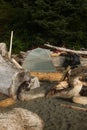 Tent on Beach Campground in Pacific Northwest