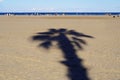 beach with the shade of a large palm tree and people near the sea Royalty Free Stock Photo