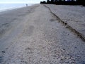 Beach with shells and erosion on Sanibel Island Royalty Free Stock Photo