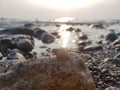 Beautiful Shells: Natural Wonders on an Enchanting Beach Royalty Free Stock Photo