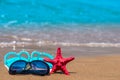 Beach shoes and marine life on the shore Royalty Free Stock Photo