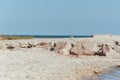 Beach on the shore of the ocean, the sea is a clear sunny summer Royalty Free Stock Photo