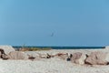 Beach on the shore of the ocean, the sea is a clear sunny summer Royalty Free Stock Photo