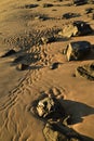 Beach shore rocks and sand patterns in Baja, Mexico Royalty Free Stock Photo