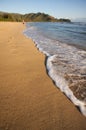 Beach Shoreline Jogger