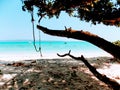 Beautiful Beach side palm trees way to beach in Havelock Island portblair Royalty Free Stock Photo