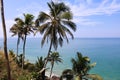 Beach side view coconut trees