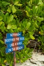 Beach sign made from rope on the wood board, wood plate on coconut pole with green trees on background