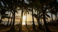 Beach with silhouettes of tourists among palm trees on the island of Boracay. Palm trees in the rays of sunset Royalty Free Stock Photo