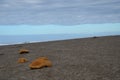 Beach and Skyscapes on the Oregon Coast Royalty Free Stock Photo