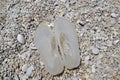 Beach Slippers on the background of the blue sea and pebble beach Royalty Free Stock Photo