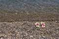 Beach Slippers by the Sea Royalty Free Stock Photo