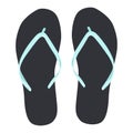 Beach slippers vector icon on a white background. Flip flops illustration isolated on white. Summer footwear realistic Royalty Free Stock Photo