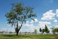 Rust Beach, Neusiedlersee, Burgenland, Austria Royalty Free Stock Photo