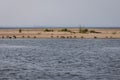 Beach on Sobieszewo Island, Gdansk, Poland