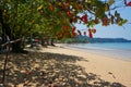 beach with some people and blue ocean Royalty Free Stock Photo