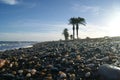 The beach in Spain