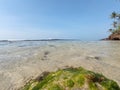 Beach Sri lanka nice cool snorkelling