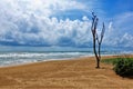 Beach in Sri Lanka. Yellow sand, aquamarine ocean, waves with foam, azure sky, picturesque clouds.