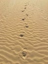 Footprint on the beach, St. Andrews