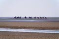 Beach of St. Peter-Ording Royalty Free Stock Photo