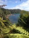 Beach on Stewart Island