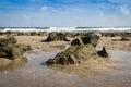 Beach and stone atlantic sea florida Royalty Free Stock Photo