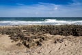 Beach and stone atlantic sea florida Royalty Free Stock Photo