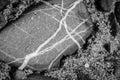 Beach stone detailed close up