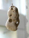 Beach stone with holes hanging from a white piece of twine