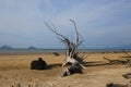 Beach with stone peaceful