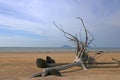 Beach with stone peaceful