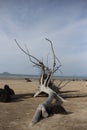 Beach with stone peaceful