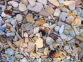 Beach Stones Royalty Free Stock Photo