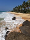 Beach, stones, palm trees and a girl with a camera