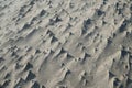 The beach after a storm alian landscape