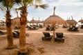 Beach straw umbrellas and palm trees