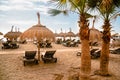 Beach straw umbrellas and palm trees