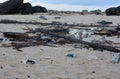 Beach Strewn with Flotsum Jetsum and Trash