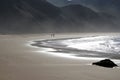 Beach stroll with dog Royalty Free Stock Photo