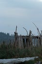 Beach structure made from driftwood with walls and a roof Royalty Free Stock Photo