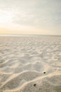 Beach summer background. sandy beaches of the North Sea in Germany at sunset.Sea coast of the North Sea. Nature of the Royalty Free Stock Photo