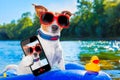 Beach summer dog selfie Royalty Free Stock Photo