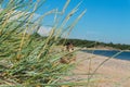 Beach, summer, grass, sand, blue, yellow Royalty Free Stock Photo